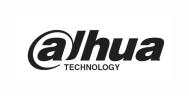 dahua
