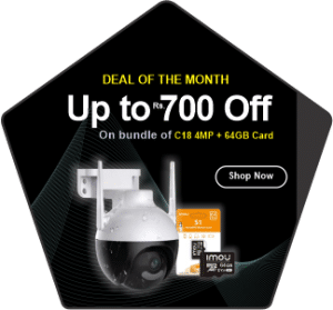 deal of the month